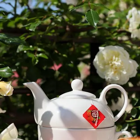 Bed & Breakfast Le Zitelle Di Ron Valdobbiadene
