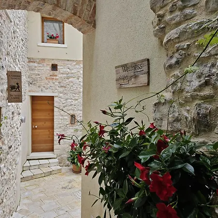 Le Zitelle Di Ron Alojamento de Acomodação e Pequeno-almoço