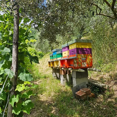Le Zitelle Di Ron 4* Valdobbiadene