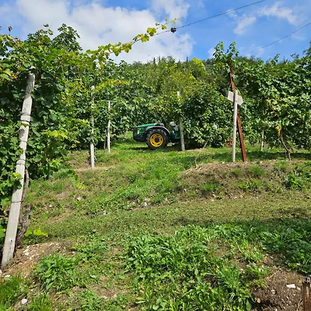 Alojamento de Acomodação e Pequeno-almoço Le Zitelle Di Ron 4*