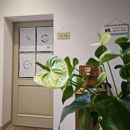 Le Zitelle Di Ron Alojamento de Acomodação e Pequeno-almoço