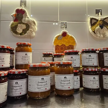 Le Zitelle Di Ron Alojamento de Acomodação e Pequeno-almoço