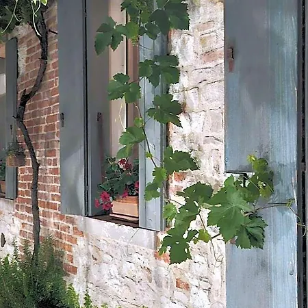 Le Zitelle Di Ron Bed & Breakfast